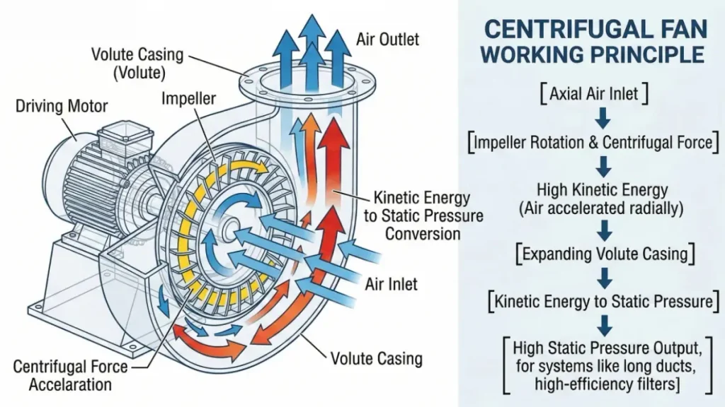 How Does a Centrifugal Air Blower Work?